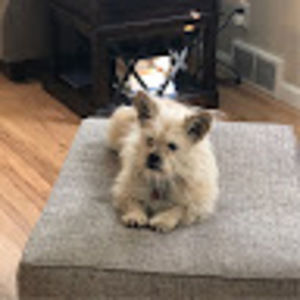 Meet your Posher, Dena